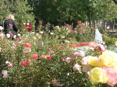 DSCN9769.JPG