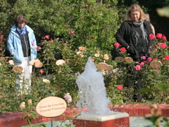 DSCN9770.JPG