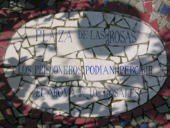 DSCN9771.JPG