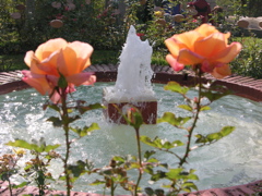 DSCN9772.JPG