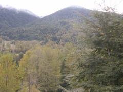 DSCN9445.JPG