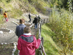 DSCN9447.JPG