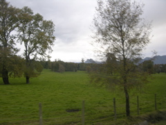 DSCN9455.JPG