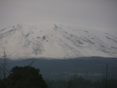 DSCN9457.JPG