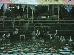 DSCN9458.JPG