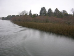 DSCN9464.JPG