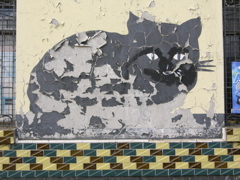 DSCN9487.JPG