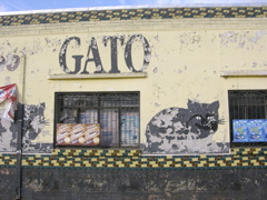 DSCN9488.JPG