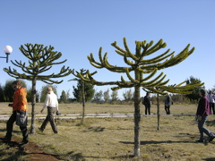 DSCN9510.JPG