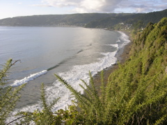 DSCN9424.JPG
