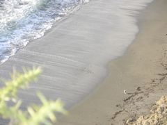 DSCN9425.JPG