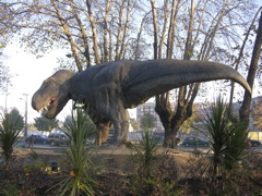DSCN9532.JPG