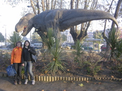 DSCN9533.JPG
