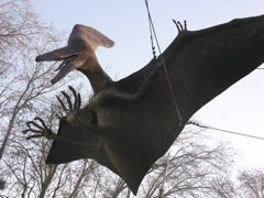 DSCN9534.JPG