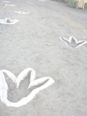 DSCN9535.JPG