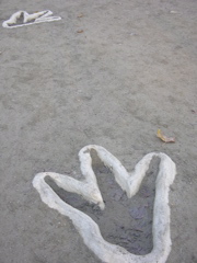 DSCN9536.JPG