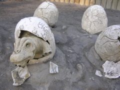 DSCN9537.JPG