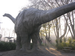 DSCN9538.JPG