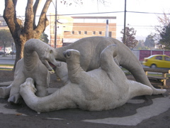 DSCN9539.JPG