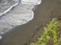 DSCN9426.JPG