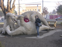 DSCN9540.JPG