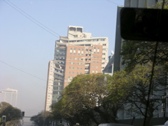 DSCN9541.JPG