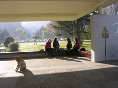 DSCN9545.JPG