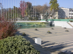 DSCN9549.JPG