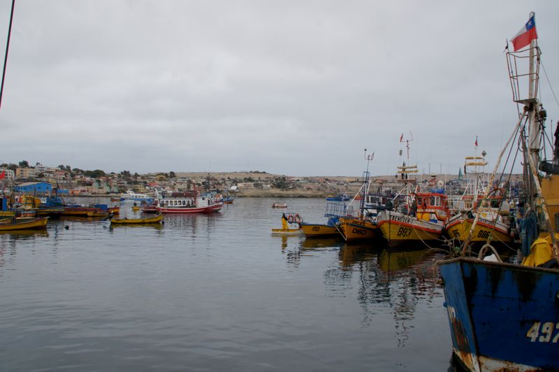DSC01675
