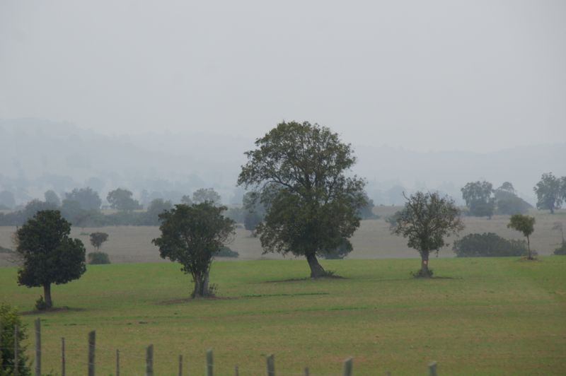 DSC02030