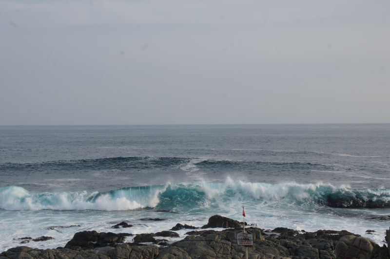 DSC02070