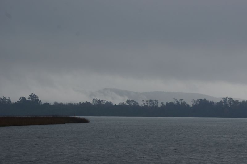 DSC00590