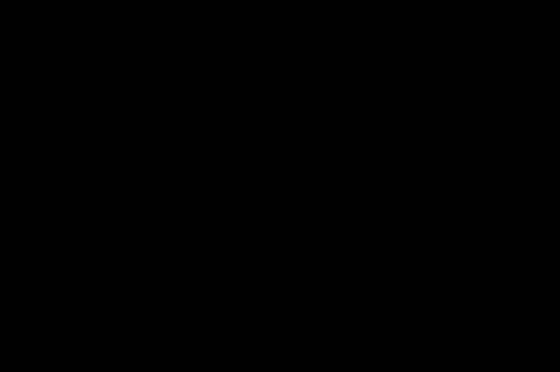 DSC02535