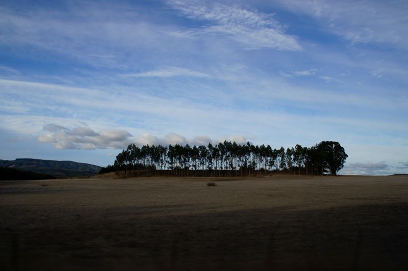 DSC00794
