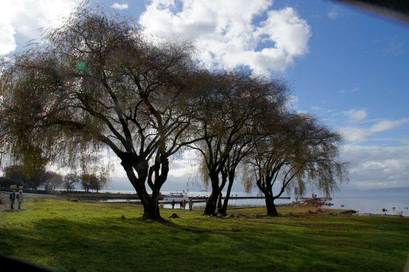 DSC00450