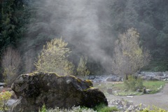 DSC00515