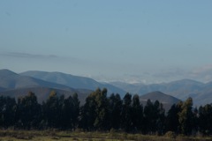 DSC01304