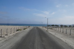 DSC01397