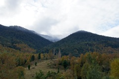 DSC00528