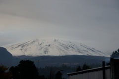 DSC00536