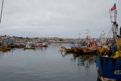 DSC01675