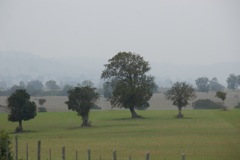 DSC02030