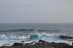 DSC02070