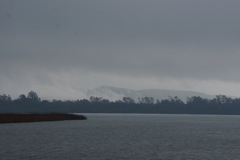 DSC00590