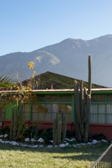 DSC02431