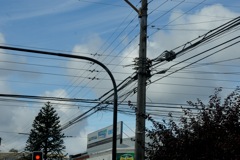 DSC00742