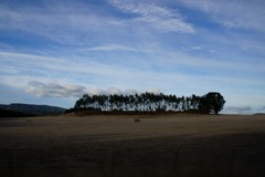DSC00794