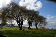 DSC00450