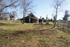 DSC00951