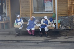 DSC01078